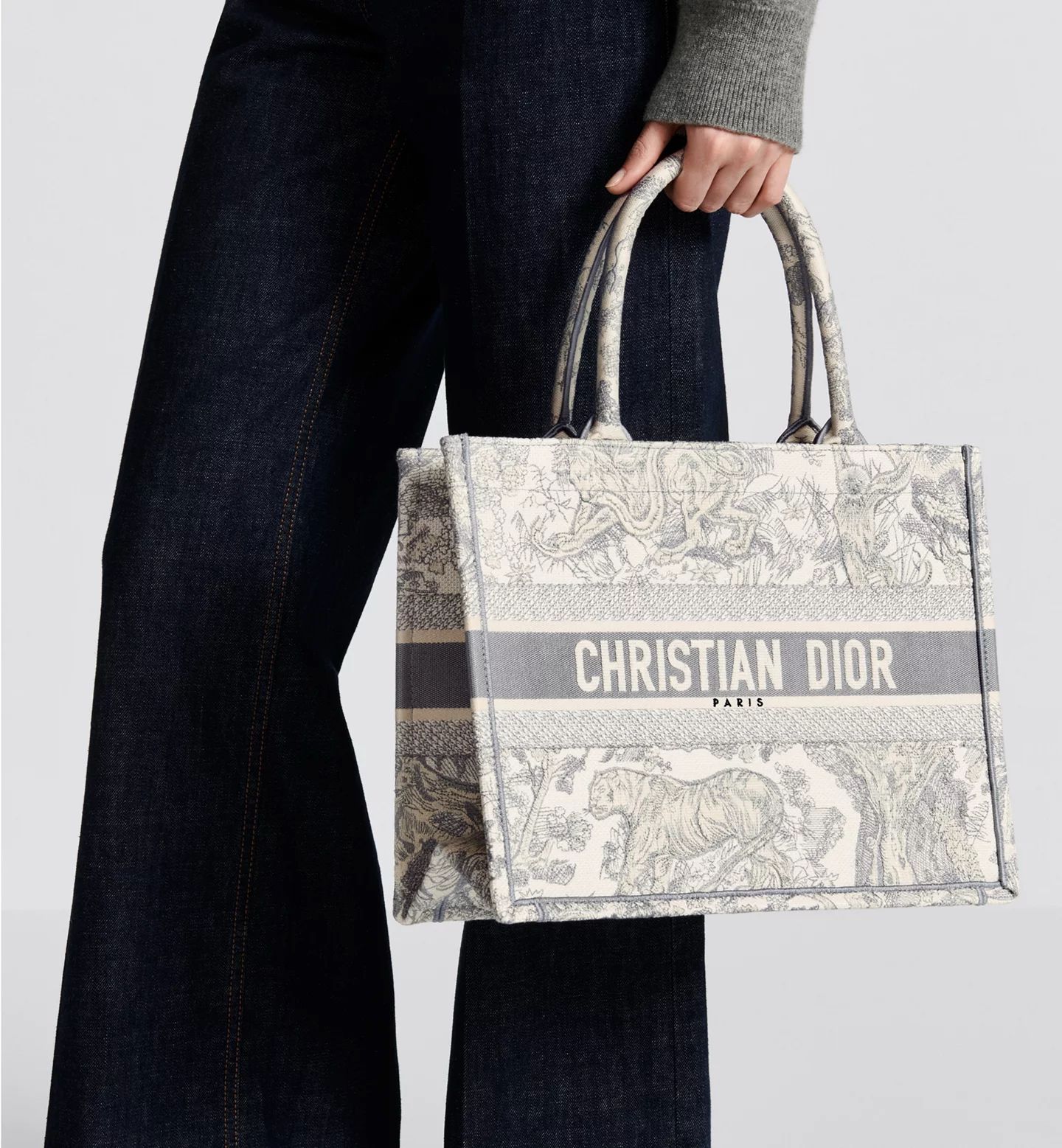 Sac Dior Book Tote Medium
